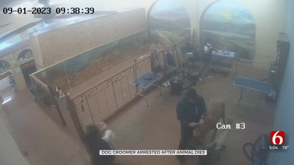 俄克拉荷马州警方称，宠物美容师被控杀害金毛贵宾犬，他在狗展上被捕